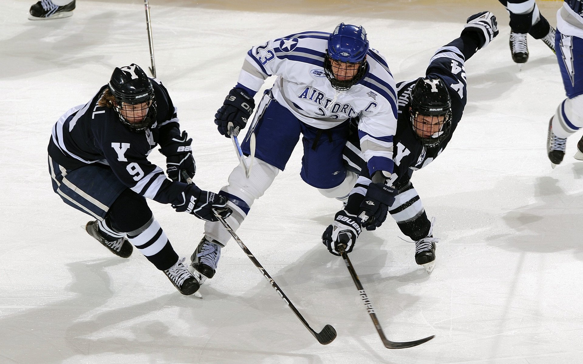 男子项目均衡发展接力表现突出